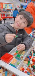 -乐高品牌旗舰店(人民广场店)