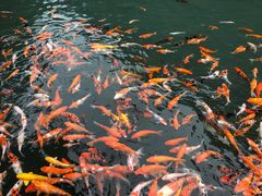 -兰溪地下长河