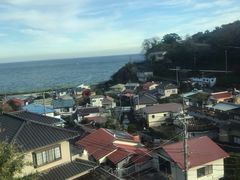 -伊豆观海列车
