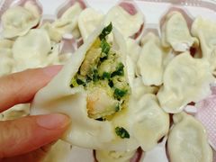 肉三鲜饺子-那家老院子东北菜·饺子·小鸡炖蘑菇(艳华街店)