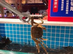 -芝小官毛肚火锅海鲜自助(淮安清江浦区新亚店)