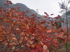 -狼牙山风景区