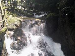 -牛背梁国家森林公园