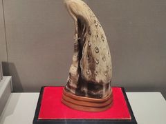 -桂林博物馆