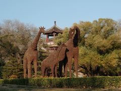 -莲花池公园