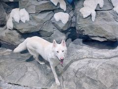 -郑州海洋馆