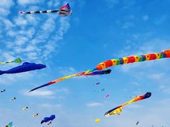 -巨鹏飞梦幻海岸