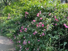 -重庆雨台山风景区