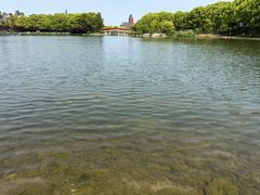 -美兰湖景区