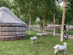 -九十九顶毡房(阜石路店)