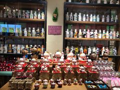 -猫咪博物馆(顶澳仔猫街店)