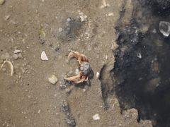 -红树林天天赶海