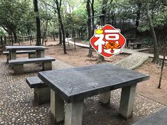 -上海佘山国家森林公园天马山园