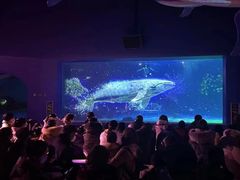 -常州海昌海洋探索馆