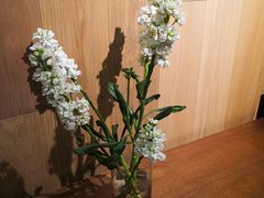 -山下C5cafe(惠通时代广场店)