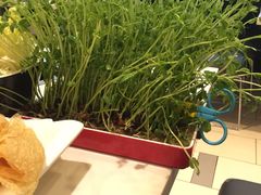 -汤岛涮小火锅(温州龙湾万达店)