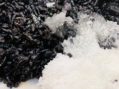 -观桥阁(锦溪店)