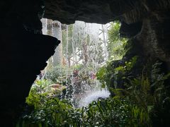 -上海辰山植物园