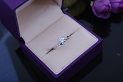 DSC_2129-威德钻石-克拉钻大本营(南京东路店)