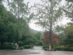 -八卦田遗址公园