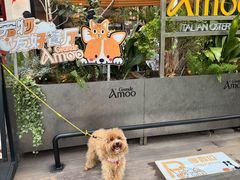 -Grande A'moo(上海万象城店)