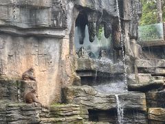 -碧峰峡风景区