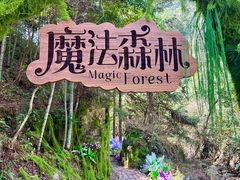 -龙湾潭国家森林公园