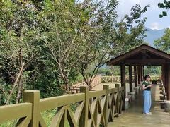 -广州市流溪河国家森林公园