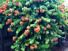 -文龙国际健身院