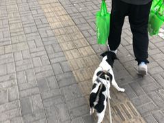-大益烤鸡