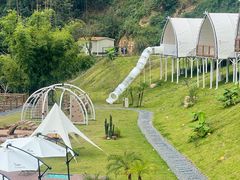 -江西阳明山国家森林公园