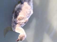 iphone_upload_pic-溱湖国家湿地公园