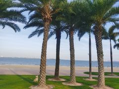 -黄金海岸环岛路