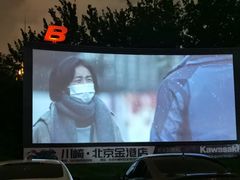 -枫花园汽车电影院(朝阳公园店)