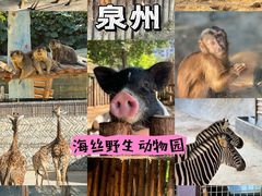 -泉州海丝野生动物世界