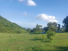 -大姆山草场