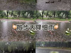 -丰台科技园生态主题公园