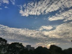 -回坊马二饺子馆