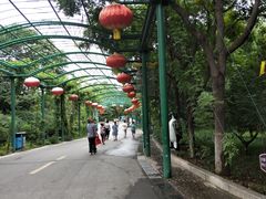 -石家庄市动物园