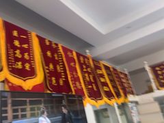 -顺强宠物诊所·狂犬免疫·夜诊·骨科(嘉定店)