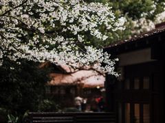 -中国茶叶博物馆(双峰馆区)