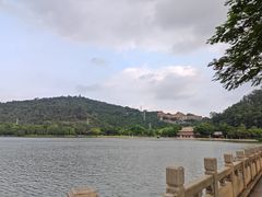 -顺峰山公园