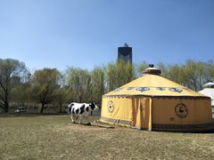 -长白岛森林公园