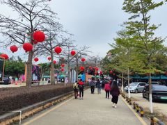 -盈香心动乐园