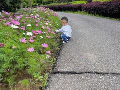 -武汉紫薇都市田园