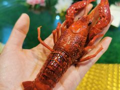 -茸梅路右拐龙虾-农家菜(松江店)