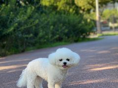 -乐琪宠物(青塔西路店)