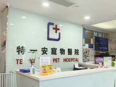 -特一安24小时宠物医院·骨科·中兽医