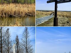 -盐城丹顶鹤湿地生态旅游区