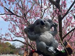 -苏州上方山国家森林公园